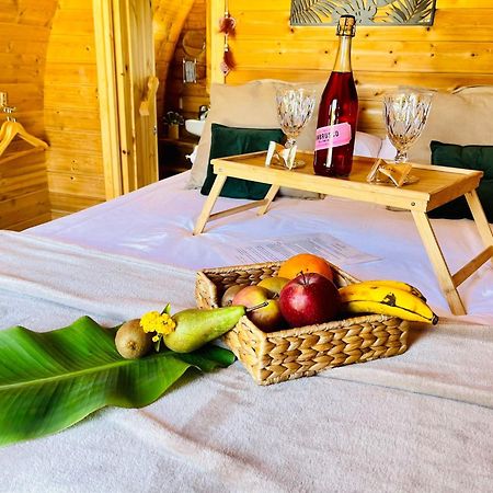 Hotel Privado Serendipia Natural Club Exclusive Buzanada 외부 사진