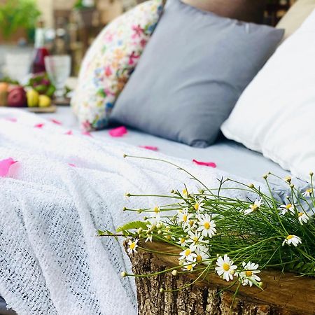 Hotel Privado Serendipia Natural Club Exclusive Buzanada 외부 사진