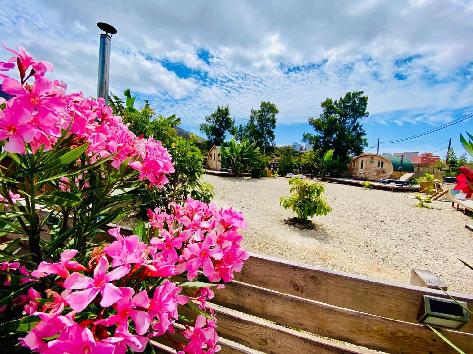 Hotel Privado Serendipia Natural Club Exclusive Buzanada 외부 사진