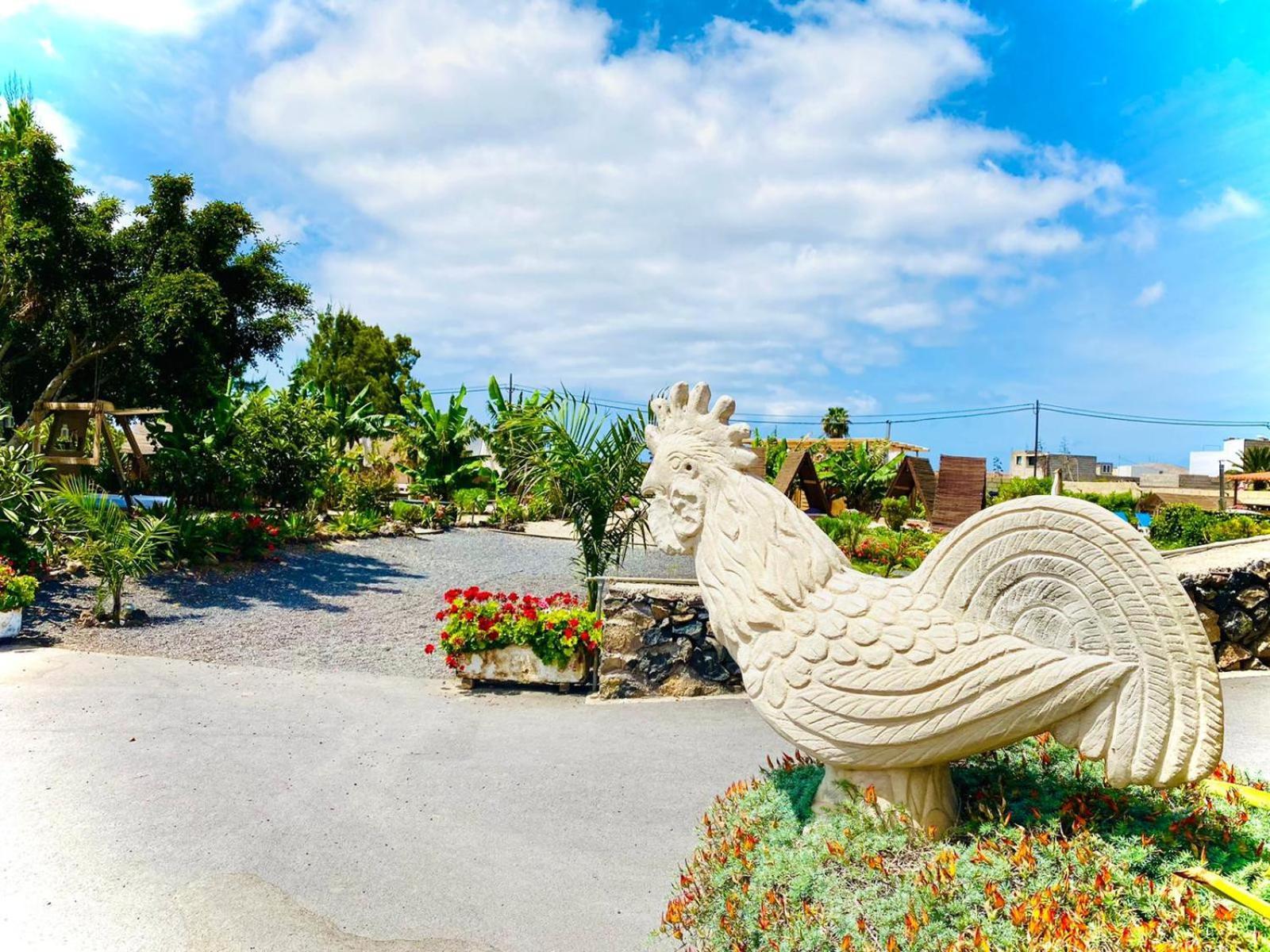 Hotel Privado Serendipia Natural Club Exclusive Buzanada 외부 사진