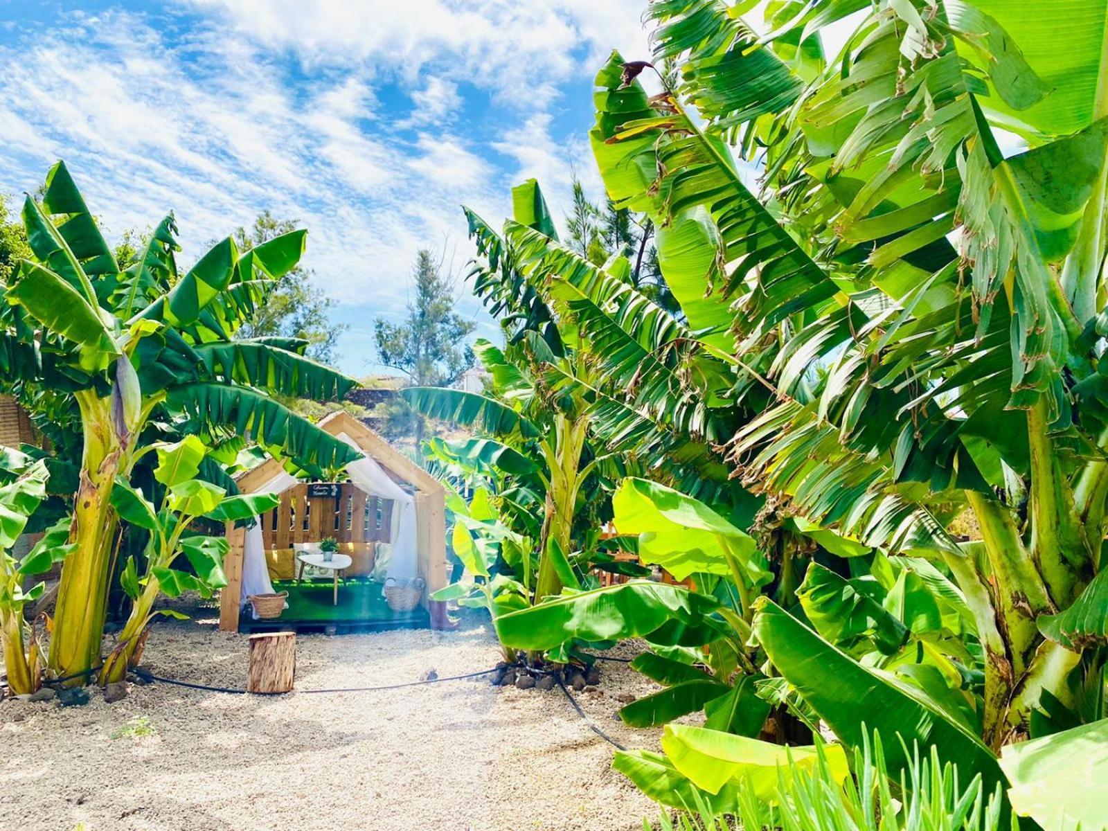 Hotel Privado Serendipia Natural Club Exclusive Buzanada 외부 사진