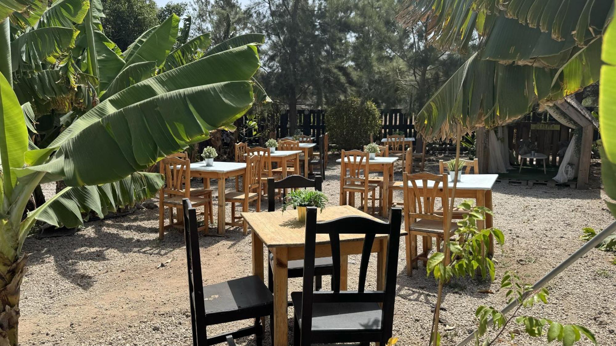 Hotel Privado Serendipia Natural Club Exclusive Buzanada 외부 사진