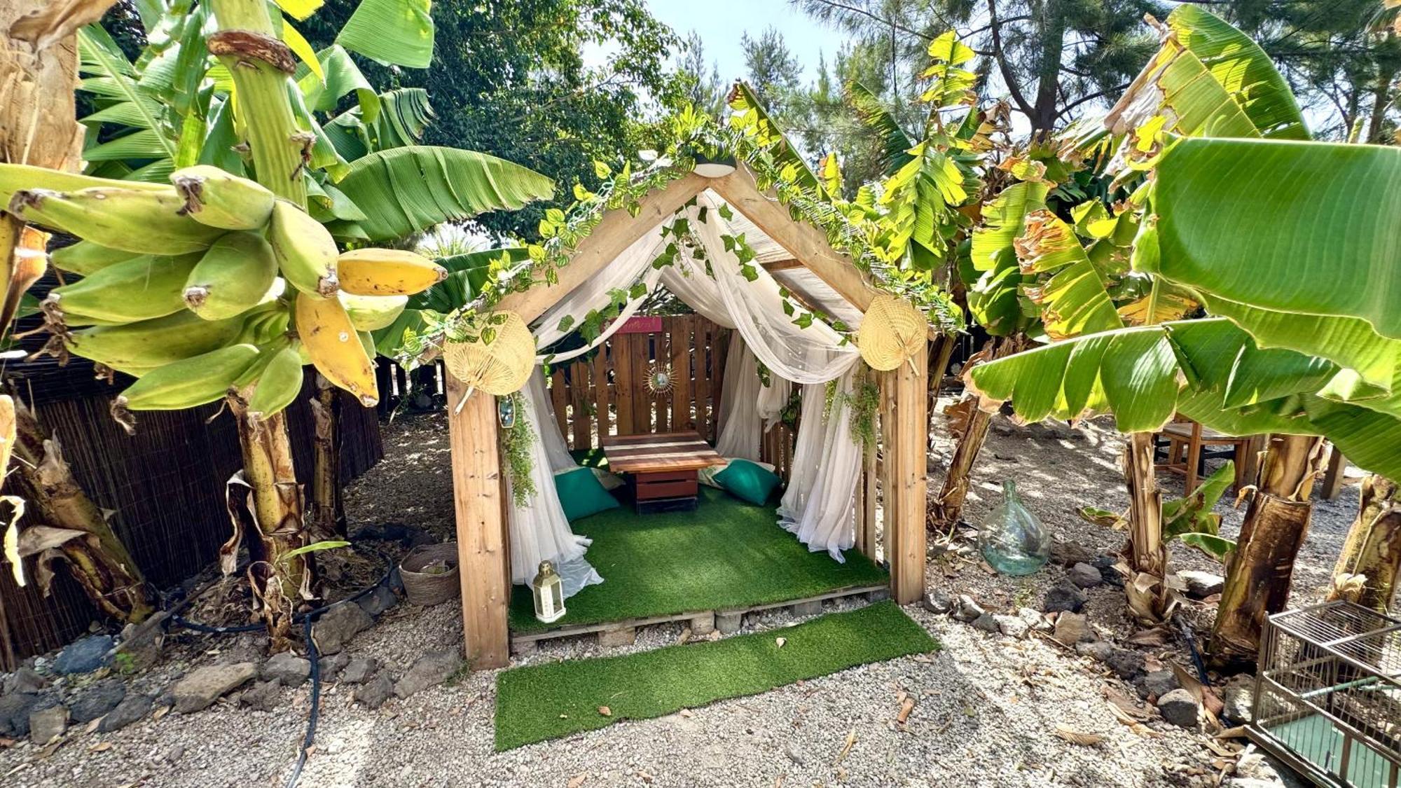 Hotel Privado Serendipia Natural Club Exclusive Buzanada 외부 사진